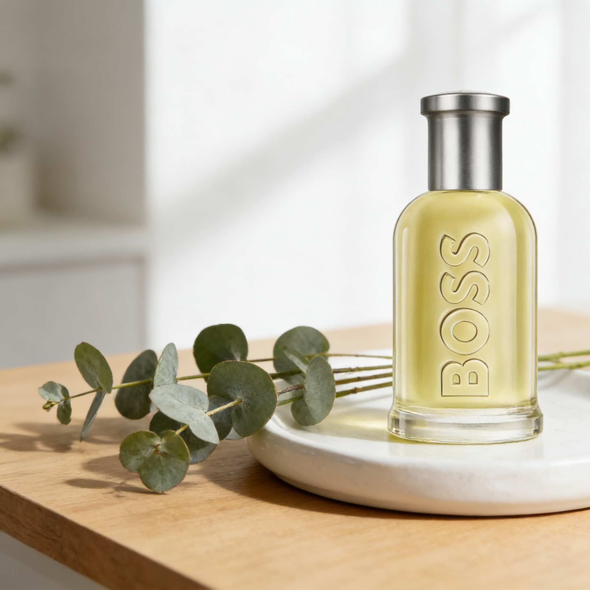 Hugo Boss Bottled Eau de Toile - đánh giá và giá Home Bar Accessories